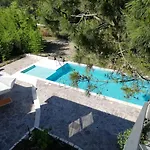 Liza 1 * Albarella Island